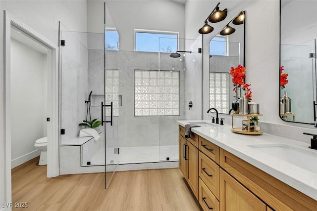 bathroom with a sink, a shower stall, toilet, and wood finished floors