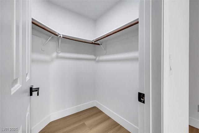 walk in closet featuring light wood-style flooring