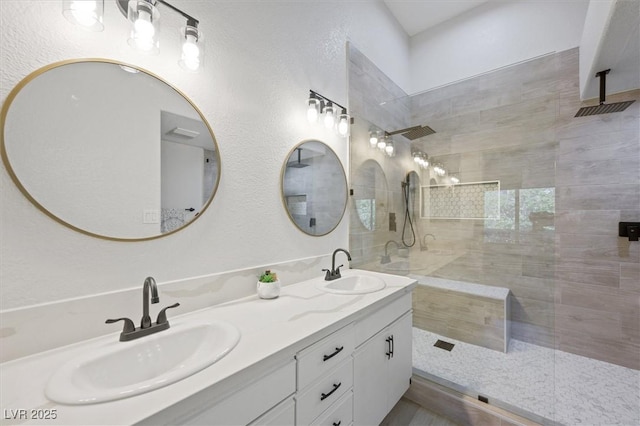bathroom with walk in shower and a sink