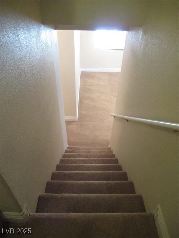 stairway featuring carpet