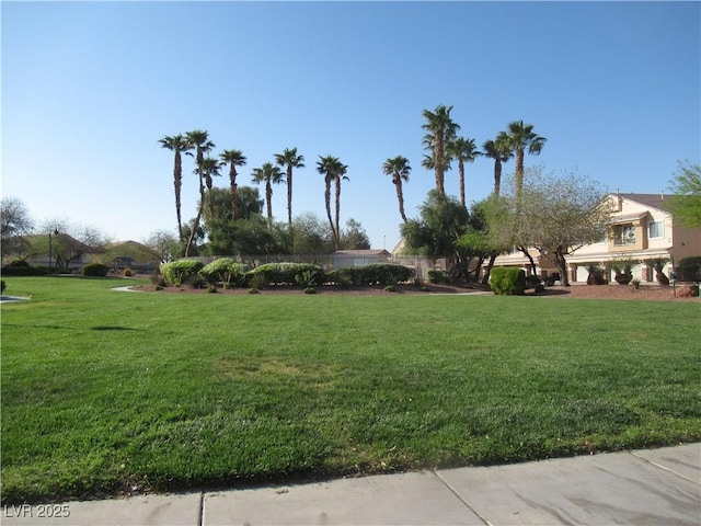 view of yard