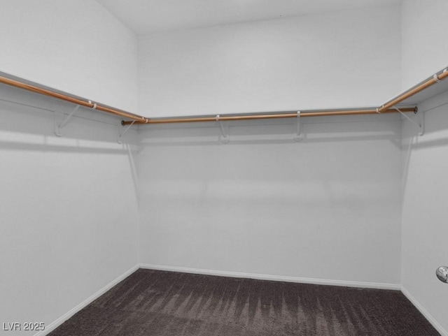 1063 Upper Springs St, Henderson, NV 89002 - walk in closet with carpet floors