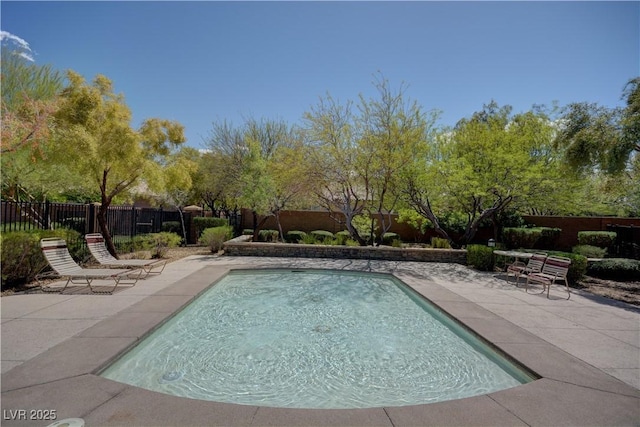 view of swimming pool featuring a fenced in pool, a fenced backyard, and a patio area