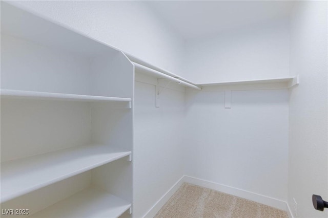 walk in closet featuring carpet