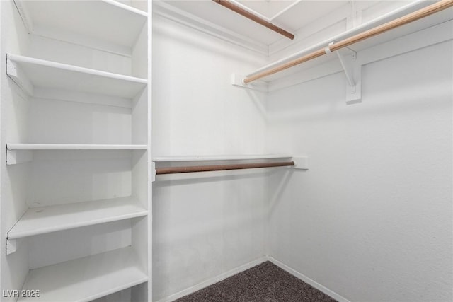 6428 Yarmouth Dr, Las Vegas, NV 89108 - walk in closet featuring carpet