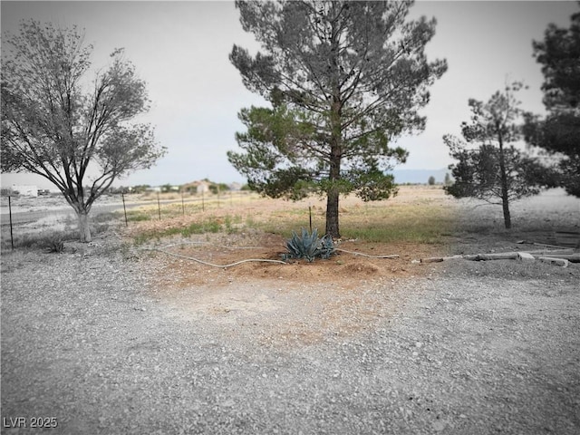 view of yard with a rural view