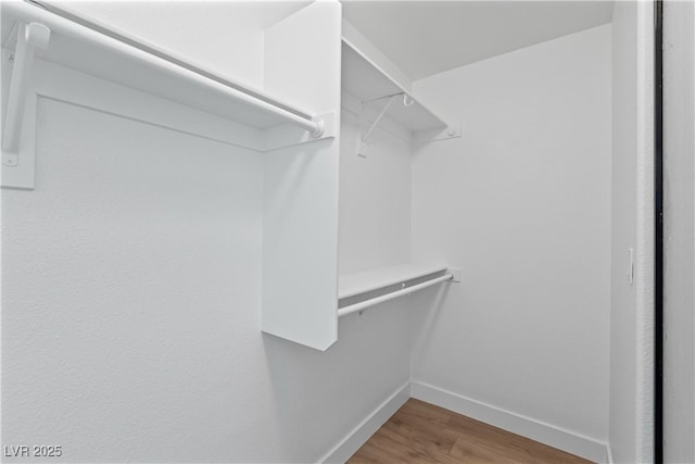 walk in closet featuring wood finished floors