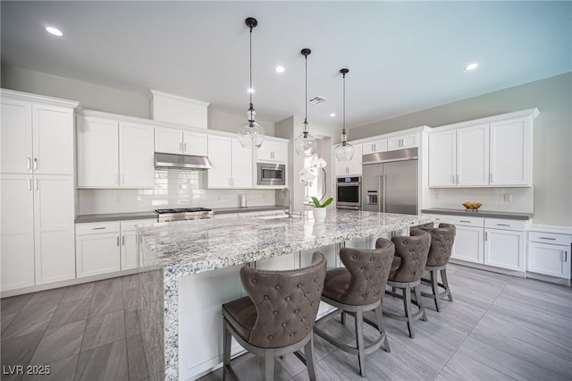 12018 Vento Forte Ave, Las Vegas, NV 89138 - kitchen featuring built in appliances, a sink, under cabinet range hood, decorative backsplash, and a large island with sink