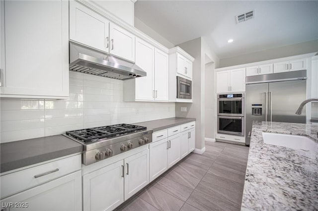 12018 Vento Forte Ave, Las Vegas, NV 89138 - kitchen with under cabinet range hood, built in appliances, a sink, tasteful backsplash, and white cabinets