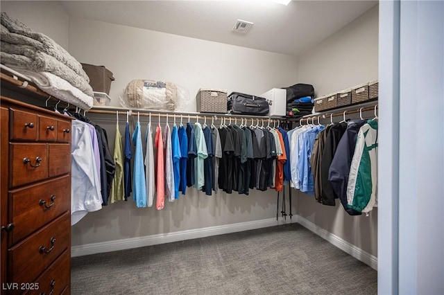 12018 Vento Forte Ave, Las Vegas, NV 89138 - walk in closet featuring carpet