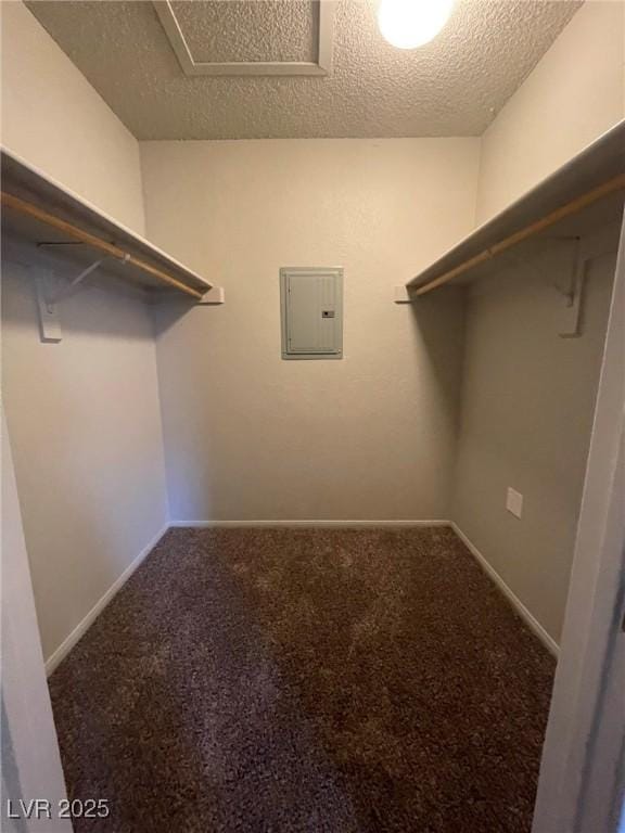 spacious closet with carpet and electric panel