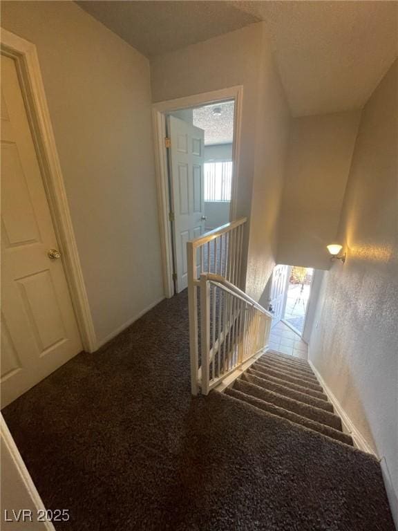 stairs featuring carpet flooring and plenty of natural light