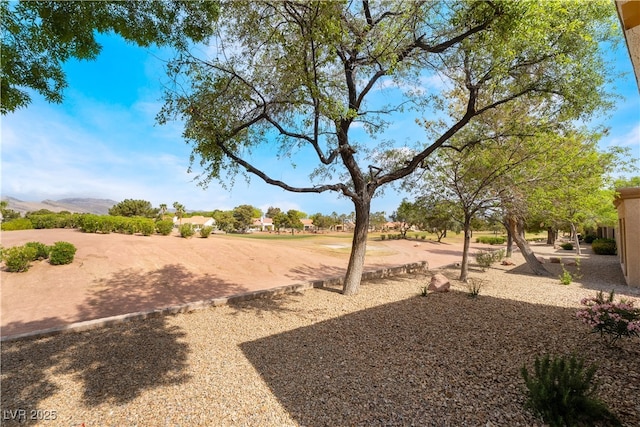2505 Showcase Dr, Las Vegas, NV 89134 - view of yard
