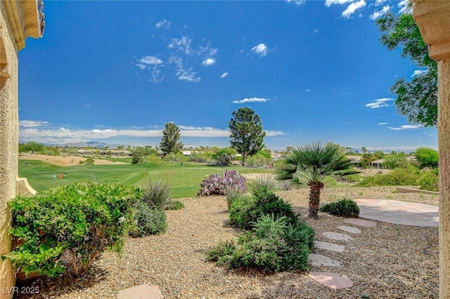view of yard with golf course view