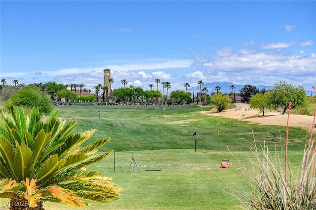 view of community with a lawn