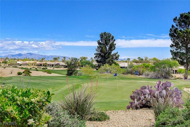 surrounding community featuring a lawn, view of golf course, and a mountain view