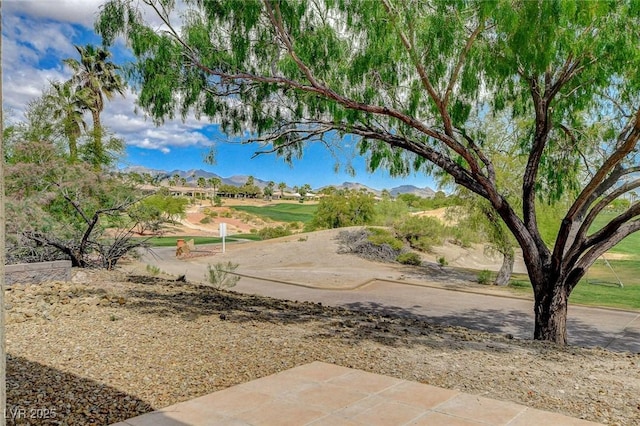 view of property's community featuring a mountain view