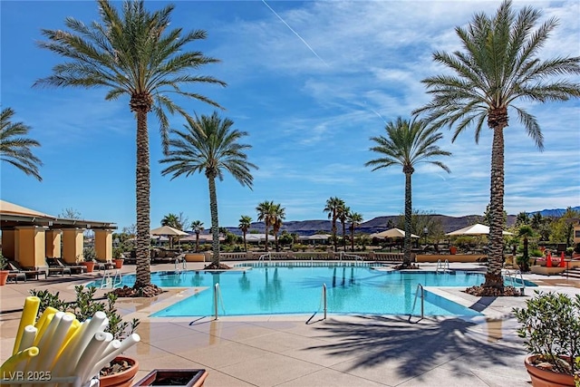 pool with a patio area