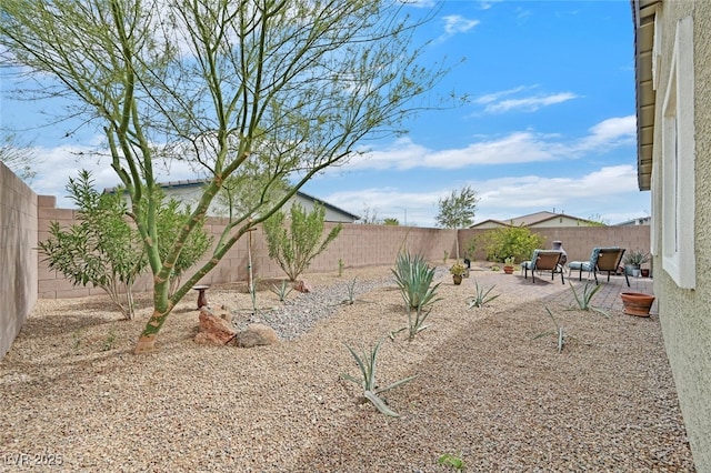 view of yard featuring a fenced backyard and a patio area