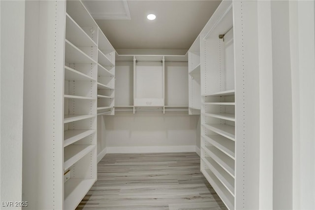 spacious closet with light wood-style flooring