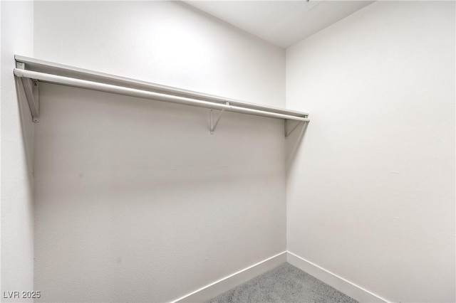 walk in closet with carpet
