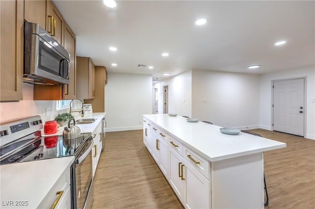 kitchen featuring stainless steel appliances, baseboards, recessed lighting, and a sink