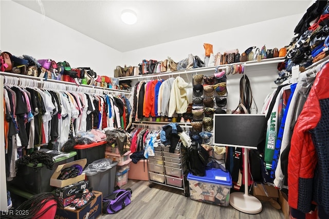 walk in closet featuring wood finished floors