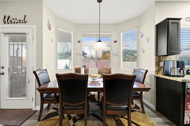 dining area with baseboards, a healthy amount of sunlight, and wood finished floors