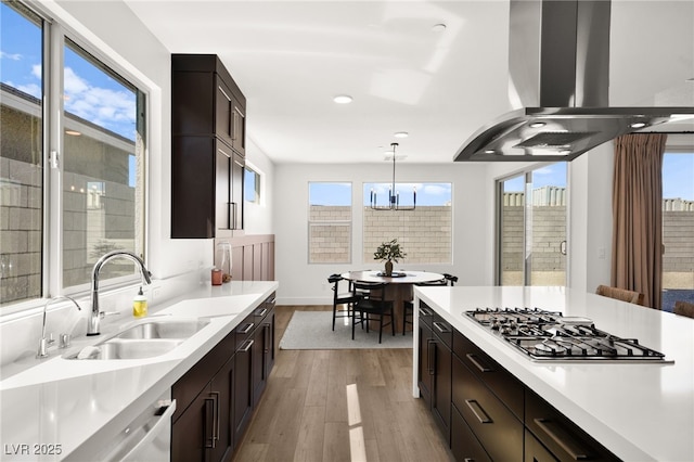 9815 Evergreen Pine St, Las Vegas, NV 89166 - kitchen with a sink, light wood-style floors, extractor fan, stainless steel appliances, and a wealth of natural light