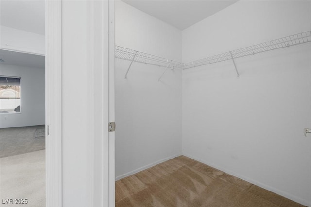 walk in closet featuring carpet