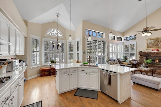 2909 Sterling Cove Dr, Las Vegas, NV 89128 - kitchen featuring plenty of natural light, light wood finished floors, and stainless steel appliances