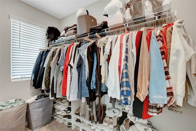 view of spacious closet