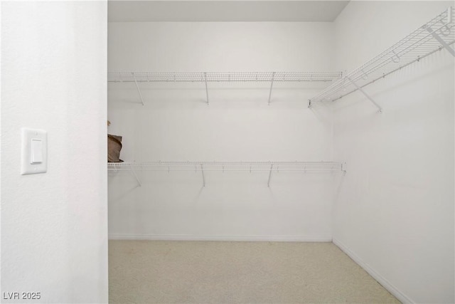 walk in closet with carpet floors