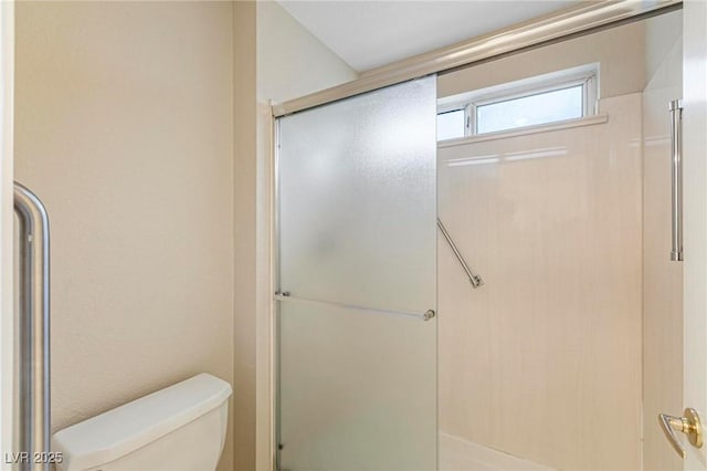 8901 Litchfield Ave, Las Vegas, NV 89134 - full bathroom with toilet and a stall shower