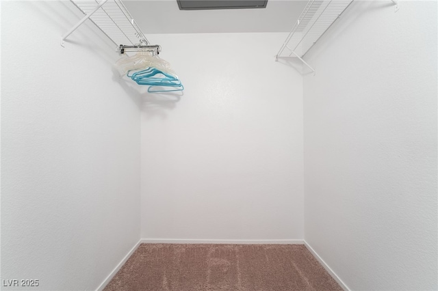 walk in closet featuring carpet flooring