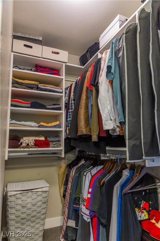 walk in closet featuring carpet flooring