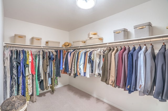 spacious closet featuring carpet floors