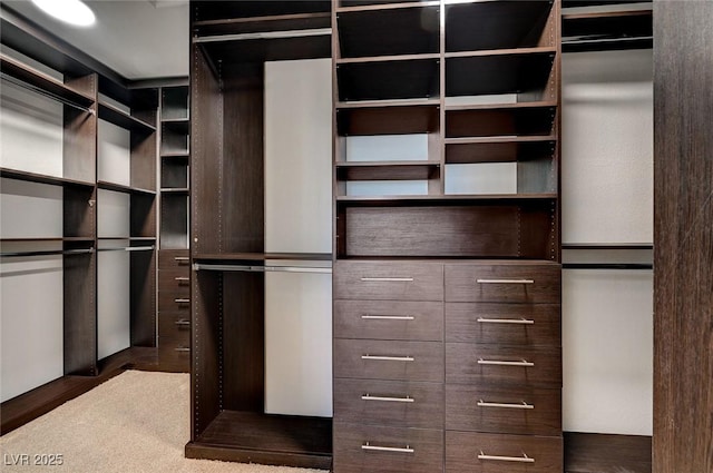 view of walk in closet