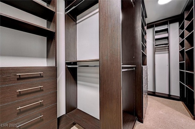 walk in closet with dark carpet