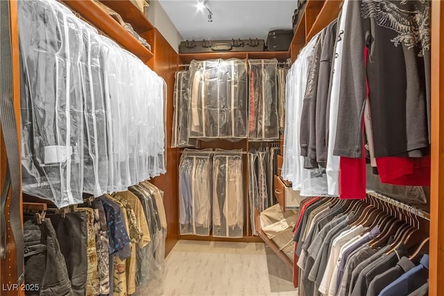 view of spacious closet