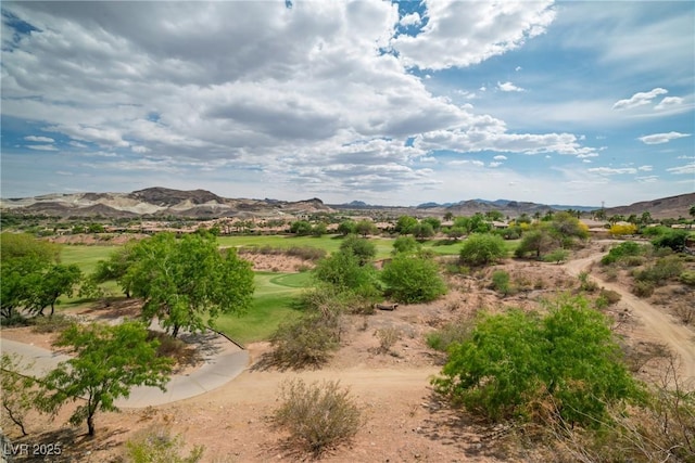 32 Cerchio Basso, Henderson, NV 89011 - photo 46