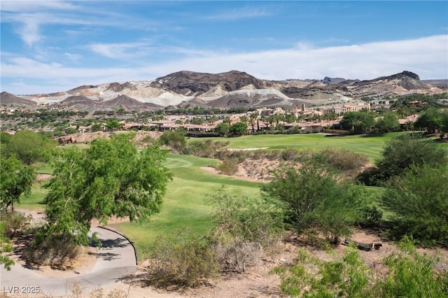 32 Cerchio Basso, Henderson, NV 89011 - photo 3
