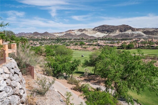 32 Cerchio Basso, Henderson, NV 89011 - photo 36