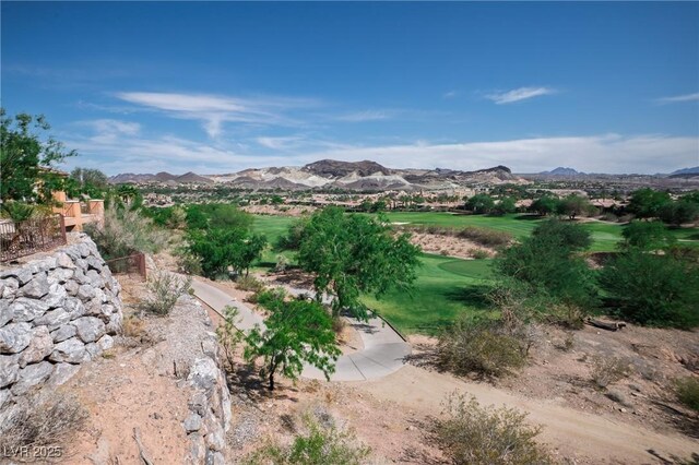 32 Cerchio Basso, Henderson, NV 89011 - photo 39