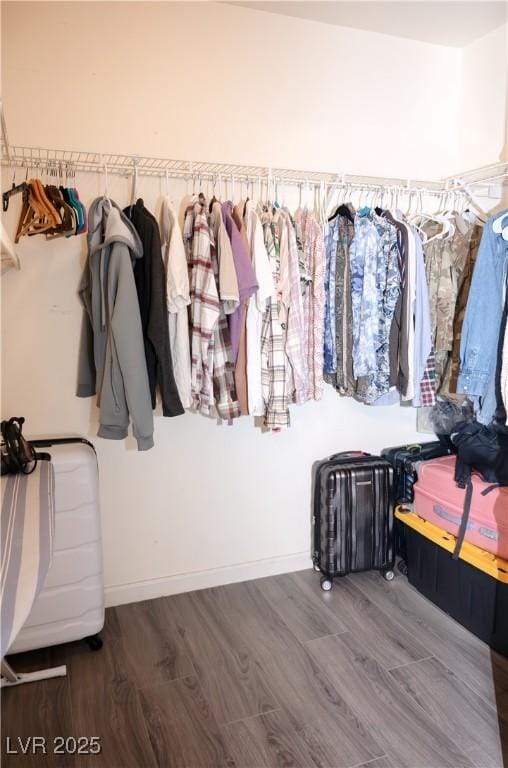 spacious closet featuring wood finished floors