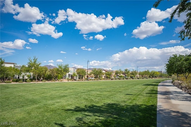 2198 Maderno St, Henderson, NV 89044 - view of property's community featuring a yard