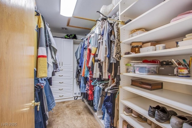 5180 N Dapple Gray Rd, Las Vegas, NV 89149 - walk in closet with light carpet