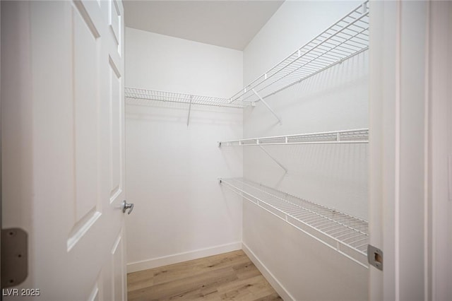 walk in closet featuring light wood-style flooring