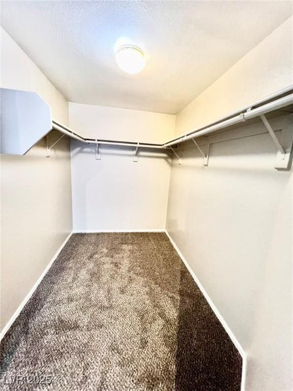 1881 W Alexander Rd Unit 1128, North Las Vegas, NV 89032 - walk in closet with carpet