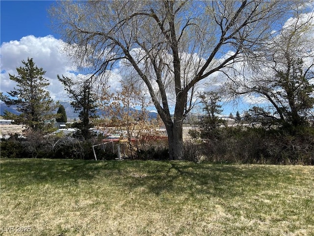 1 Cleave Dr, Ely, NV 89301